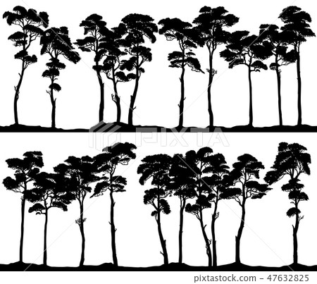 Banner Silhouettes Of Coniferous Forest Stock Illustration