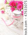 Pink aster 47633075