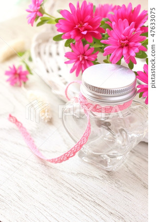 Pink aster 47633075