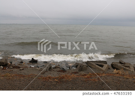 Biwa lake Biwa lake 47633193