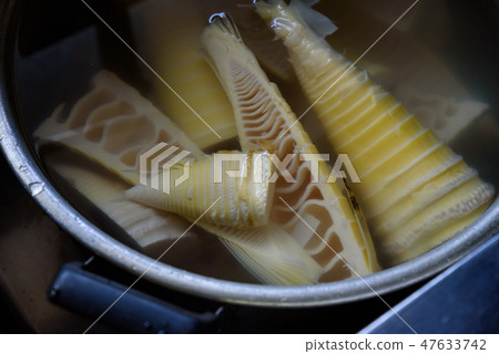 Bamboo shoots image 47633742