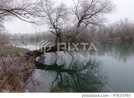 Winter scene with river Winter scene with river 47633765