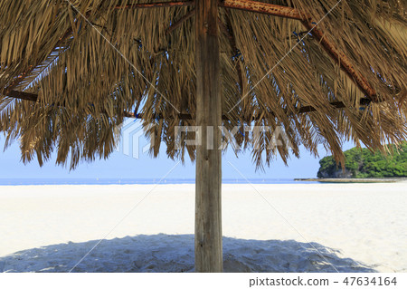 Wakayama prefecture · Nanki Shirahama · Shirahama beach · Palm leaf parasol 47634164