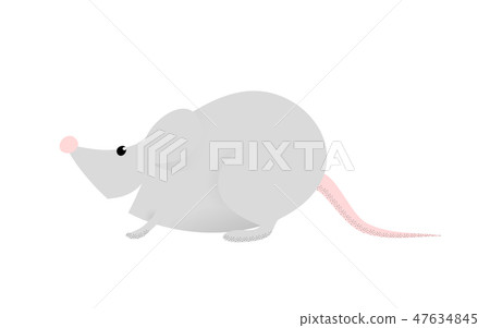 Cute funny rat Cute funny rat 47634845