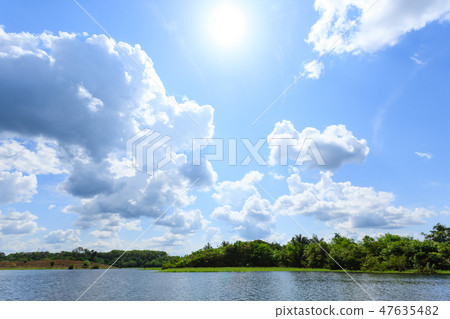 Amazon rainforest, Brazilian wetland region Amazon rainforest, Brazilian wetland region 47635482