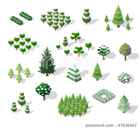 Set of Christmass winter 47636467