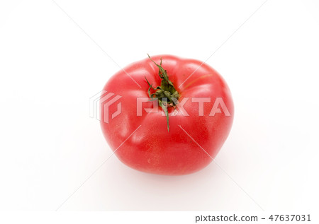 Tomato Tomato 47637031