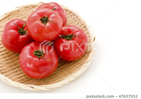 Tomato Tomato 47637032