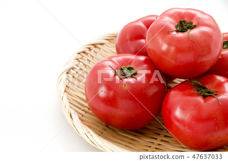 Tomato Tomato 47637033