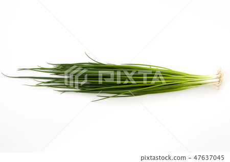 Green onions, universal green onions 47637045