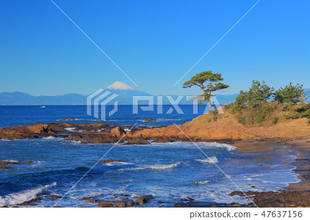 [Kanagawa] Fuji seen from Tateishi coast 47637156