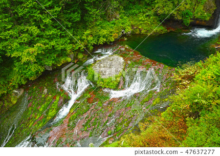 豪豬隱藏的瀑布和Chutubomigogake Okutetsuini Yokotani峽谷 豪豬隱藏的瀑布和Chutubomigogake Okutetsuini Yokotani峽谷 47637277