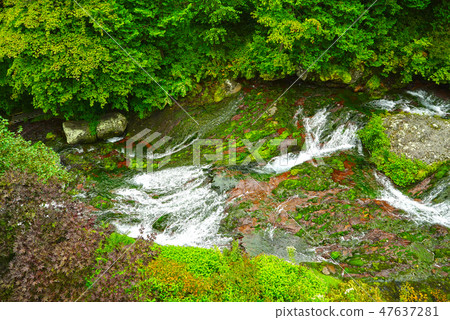 Chutubomigogake Okutetsuini Yokotani峽谷 Chutubomigogake Okutetsuini Yokotani峽谷 47637281