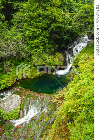 豪豬隱藏的瀑布和Chutubomigogake Okutetsuini Yokotani峽谷 47637283