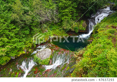 豪豬隱藏的瀑布和Chutubomigogake Okutetsuini Yokotani峽谷 豪豬隱藏的瀑布和Chutubomigogake Okutetsuini Yokotani峽谷 47637293
