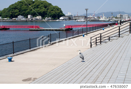 Ujina碼頭公園風景 47638007