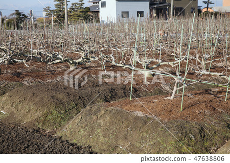 Making winter soil 47638806