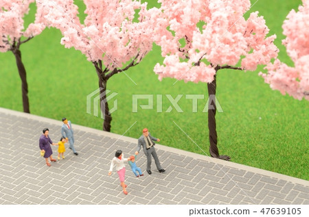 Parents and cherry blossoms 47639105
