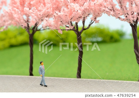 櫻花和西裝的男人 47639254