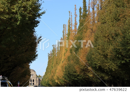神宮外苑的秋天風景 神宮外苑的秋天風景 47639622