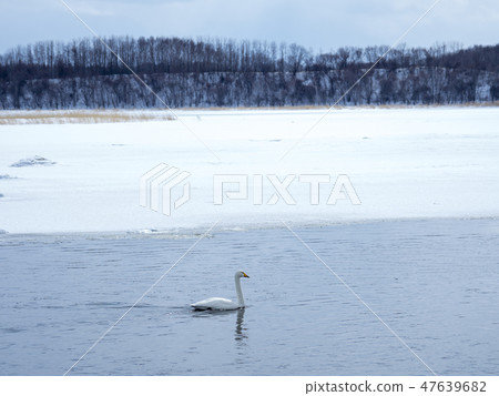 Hokkaido · Dynasty Lake in severe winter 47639682