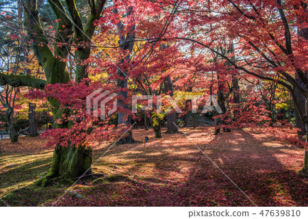 Fall of Kenrokuen 47639810