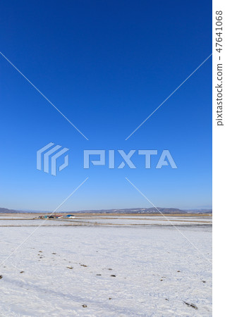 北海道_北海道廣闊的十勝平原 47641068