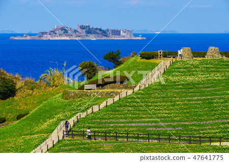 Nomozaki Narcissus Festival, overlooking Gunkanjima [Nomozaki Town, Nagasaki City, Nagasaki Prefecture] 47641775