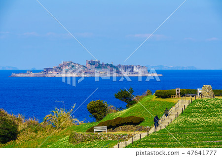 Nomozaki Narcissus Festival, overlooking Gunkanjima [Nomozaki Town, Nagasaki City, Nagasaki Prefecture] 47641777