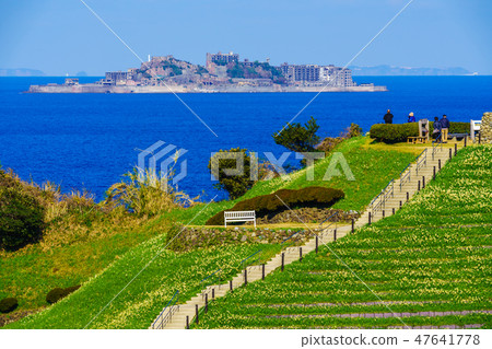 Nomozaki Narcissus Festival, overlooking Gunkanjima [Nomozaki Town, Nagasaki City, Nagasaki Prefecture] 47641778