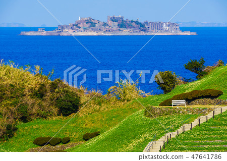 Nomozaki Narcissus Festival, overlooking Gunkanjima [Nomozaki Town, Nagasaki City, Nagasaki Prefecture] 47641786
