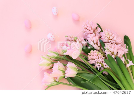 Pink hyacinths and tulips Pink hyacinths and tulips 47642657