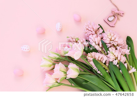 粉紅色的風信子和郁金香 粉紅色的風信子和郁金香 47642658