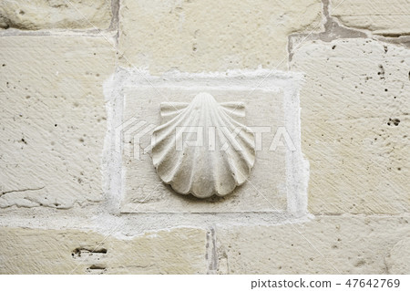Shell pilgrims stone Shell pilgrims stone 47642769