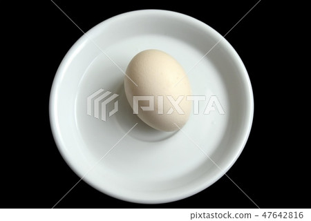 One egg 47642816
