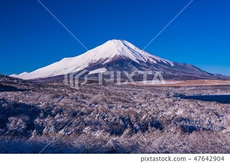 （山梨縣）從山岳的白雪覆蓋的全景中渴望的富士山 47642904