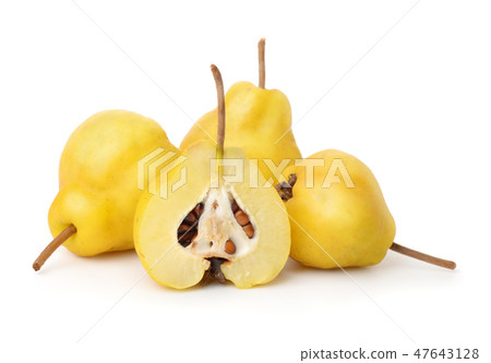 Group of ripe japanese quince fruits Group of ripe japanese quince fruits 47643128