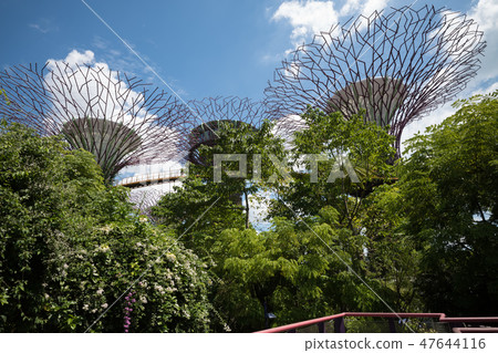 OCBC Skyway 47644116