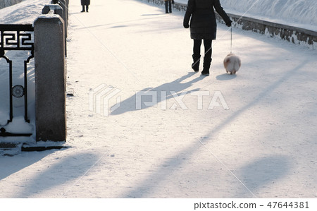 Unrecognizable woman walking with a little dog on a leash in a snow-covered winter Park. Back view. 47644381