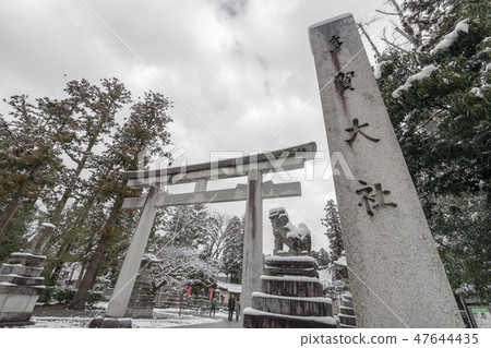 Taga Taisha 280 47644435