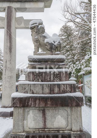 Taga Taisha 274 47644436