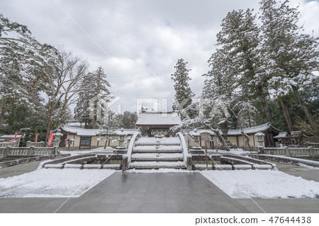 Taga Taisha 259 Taga Taisha 259 47644438