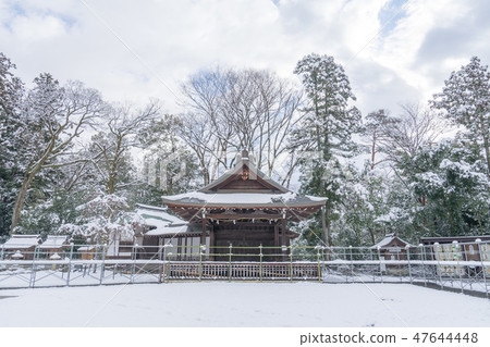 Taga Taisha 202 47644448