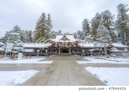 Taga Taisha 153 47644458