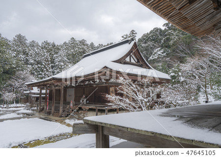 Saigoji寺424 Saigoji寺424 47645105