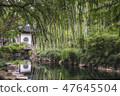 Guyi Garden, bamboo forest, Shanghai, China 47645504