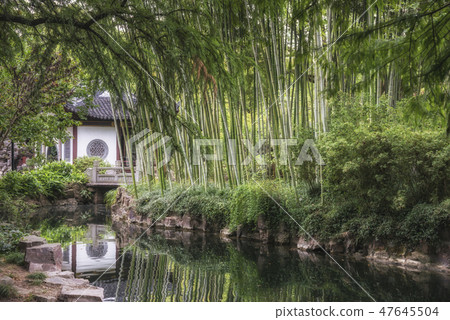 Guyi Garden, bamboo forest, Shanghai, China Guyi Garden, bamboo forest, Shanghai, China 47645504