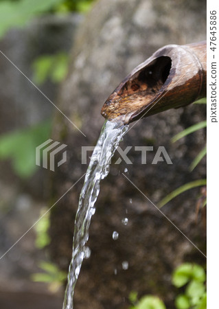 竹水龍頭 竹水龍頭 47645886