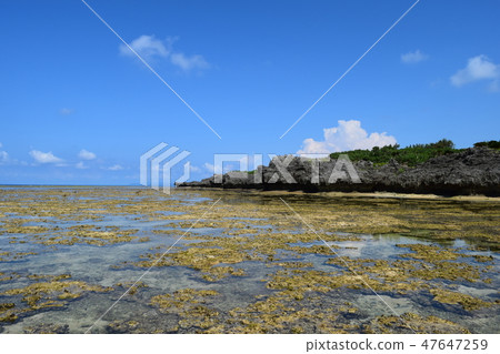 Hatoma coast of the tide 47647259