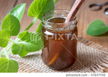 Silver spurflower syrup with fresh plant 47647598